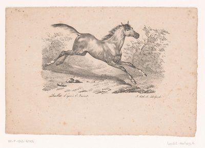 風景の中の疾走する馬 Horses and Riders (シリーズタイトル) 作： Karl Loeillot Hartwig