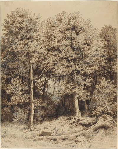 雑木林 作： Karl Theodor Reiffenstein
