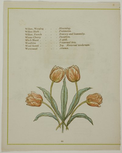 装飾的なイラスト、「照らされた花言葉」より 作： Kate Greenaway