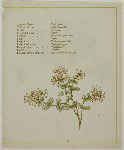 『イルミネーションされた花言葉』より、ヴォルカメニアを通ってバレリアン 作： Kate Greenaway