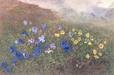 春の山の花、1896年 作： Kate fl.1873 96 Goodwin
