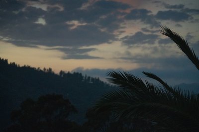 夢見る、2021年（写真） 作： Katha Wood