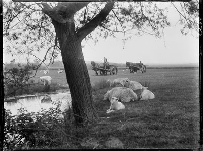 Luckhurst, Lower Road, Stone-Cum-Ebony, Ashford, Kent 作： Katherine Jean Macfee
