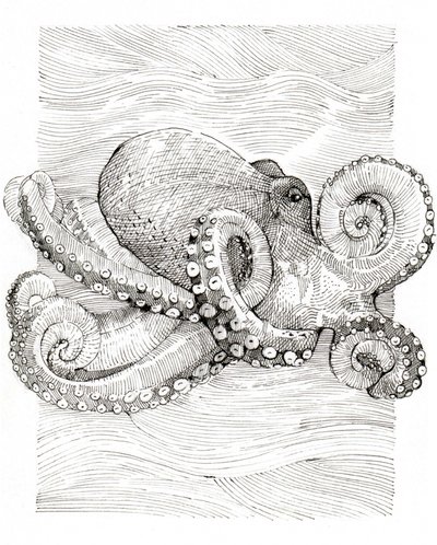  作： 