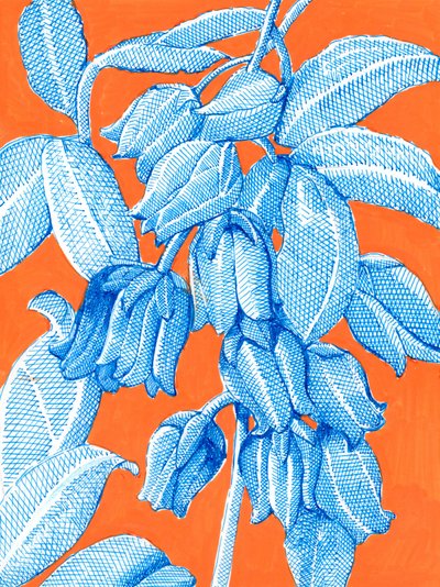  作： 