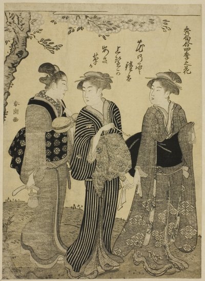 連載「四季合わせ、四季の花」より 春の桜 作： Katsukawa Shuncho