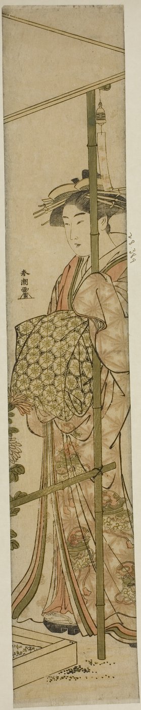 菊を愛でるクレサン 作： Katsukawa Shuncho