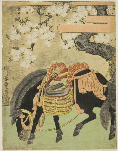 満開の桜の木の下につながれた黒い馬 作： Katsukawa Shunsho