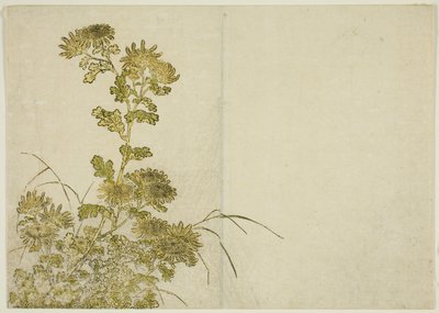冬の花 菊 著書『清露美人あわせ姿鏡』vol. 1 作： Katsukawa Shunsho