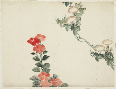 朝顔と赤い花 作： Katsushika (school of) Hokusai