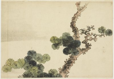 松の枝 作： Katsushika (school of) Hokusai