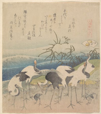 『元禄花仙 合体編』シリーズより「アシ・クラム」 作： Katsushika Hokusai