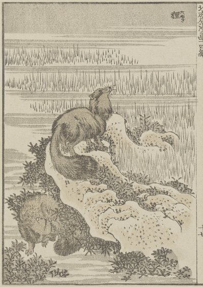 アナグマ、c。 1840（木版画） 作： Katsushika Hokusai