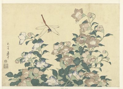 バルーンキキョウとトンボ 作： Katsushika Hokusai