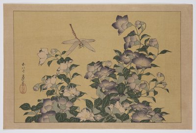 桔梗とトンボ（カラー木版画 作： Katsushika Hokusai