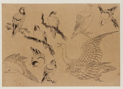 鳥類 江戸時代 18世紀後半～19世紀前半 作： Katsushika Hokusai