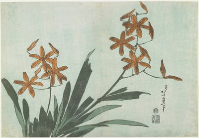 ブラックベリーユリ、c。 1832 作： Katsushika Hokusai