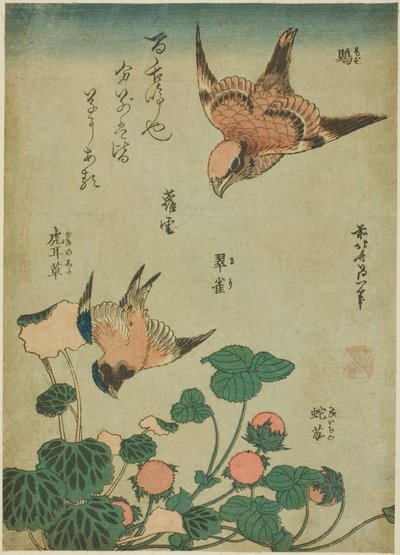 無題の花と鳥のシリーズより 作： Katsushika Hokusai
