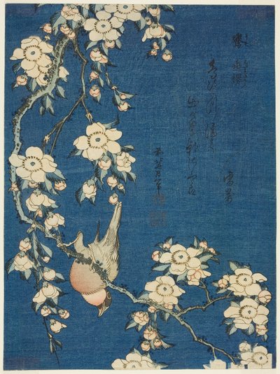 ウソとシダレザクラ、無題の花と鳥のシリーズより 作： Katsushika Hokusai