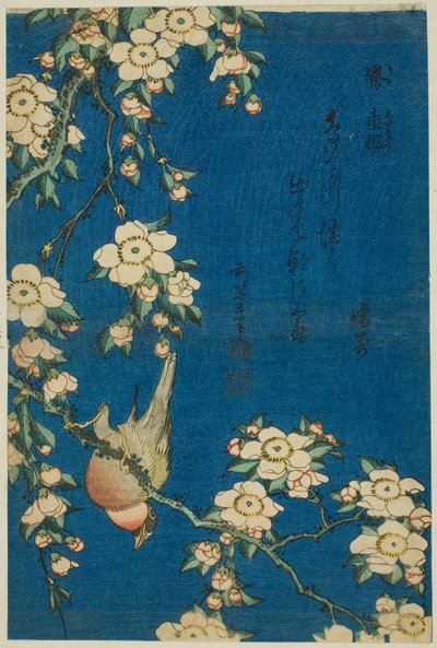 ウソとシダレザクラ（花と鳥の無題シリーズより 作： Katsushika Hokusai
