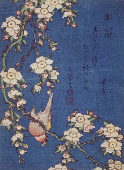 ウソとシダレザクラの木、パブ。 c.1834（カラー木版画） 作： Katsushika Hokusai
