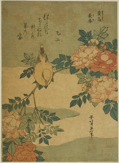 無題の花と鳥のシリーズより、ウグイスとバラ (コチョウ、バラ) 作： Katsushika Hokusai
