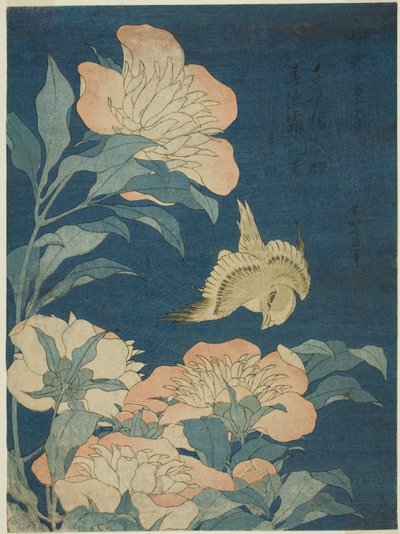 カナリアとシャクヤク（カナリア、シャクヤク）、無題の花と鳥のシリーズから 作： Katsushika Hokusai