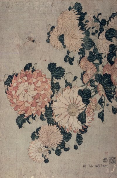 菊（色木版） 作： Katsushika Hokusai