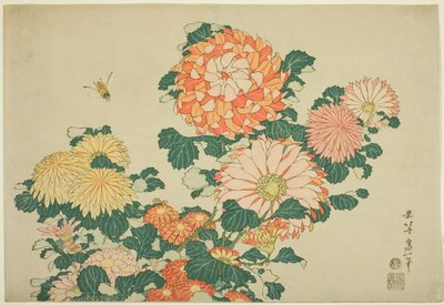 無題の大輪シリーズより 菊と蜂 作： Katsushika Hokusai