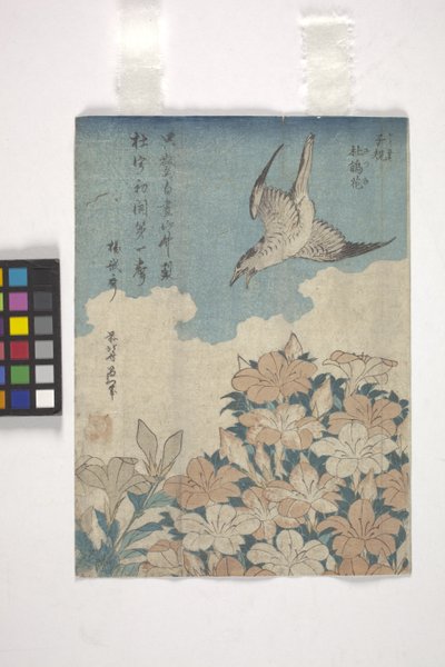 カッコウとツツジ（カラー木版画） 作： Katsushika Hokusai