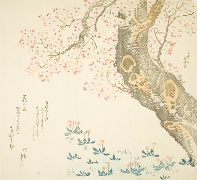 桜の木の下のタンポポとクローバー 作： Katsushika Hokusai