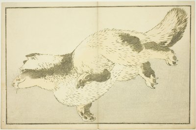 北斎写生図鑑 狐 作： Katsushika Hokusai