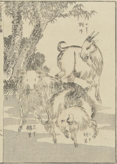山羊、c。 1840（木版画） 作： Katsushika Hokusai