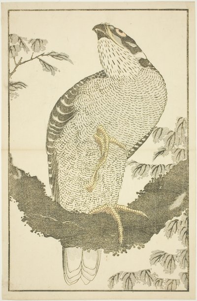 北斎写実画譜 鷹 作： Katsushika Hokusai