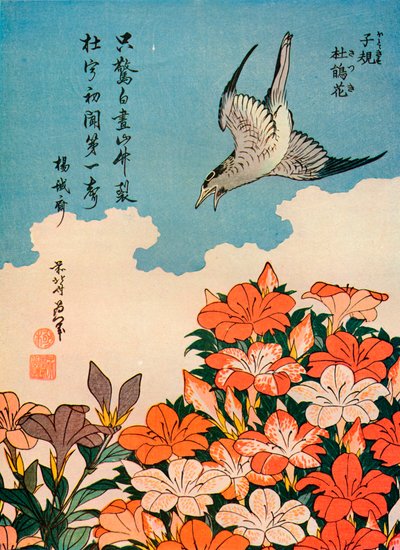 ほととぎすさつきカッコーとツツジ、c1828、1936 作： Katsushika Hokusai