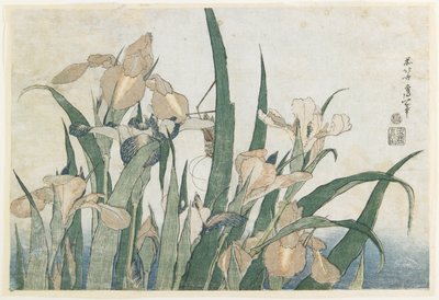 アイリスの花とバッタ、c.1830-31（カラー木版印刷） 作： Katsushika Hokusai