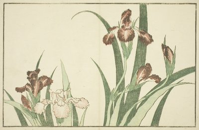 北斎絵本絵描きアイリス 作： Katsushika Hokusai