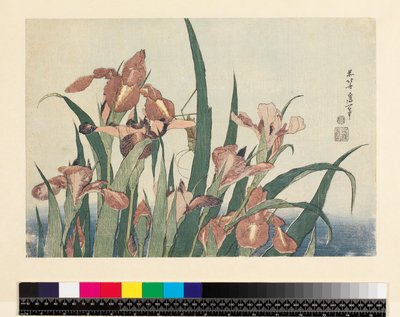 アイリスとバッタ、パブ。西村栄柔道、1832年頃（横絵-横組み、カラー木版画） 作： Katsushika Hokusai