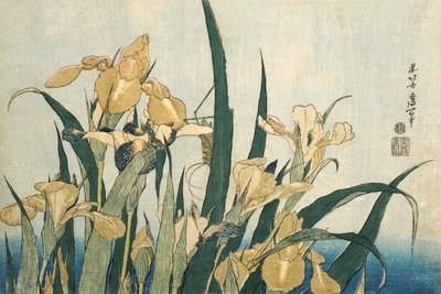 グラスホッパーとアイリス、パブ.1830 作： Katsushika Hokusai