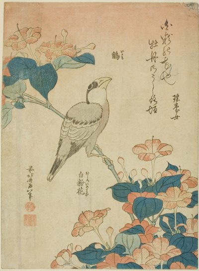 無題の花と鳥のシリーズより 作： Katsushika Hokusai