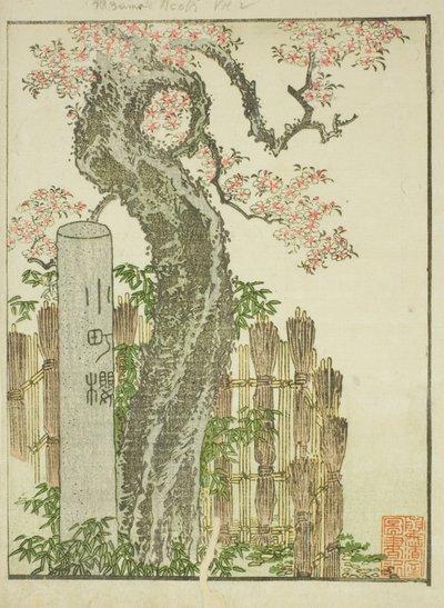 小町桜（こまちざくら） 絵本「絵本東あそび」より 作： Katsushika Hokusai