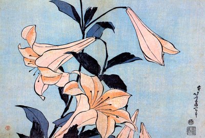 ユリ、c1830。 作： Katsushika Hokusai