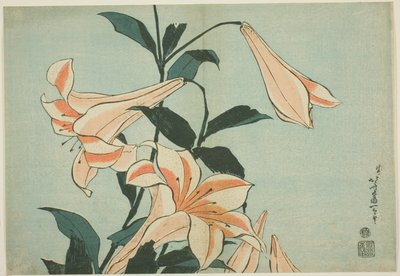 ユリ、無題の大きな花のシリーズから 作： Katsushika Hokusai