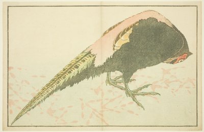 北斎写生画譜 雄キジ 作： Katsushika Hokusai