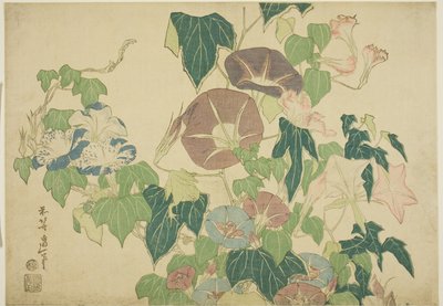 無題の大輪シリーズより 朝顔とアマガエル 作： Katsushika Hokusai