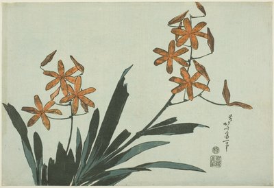 無題の花のシリーズからのオレンジ色の蘭 作： Katsushika Hokusai