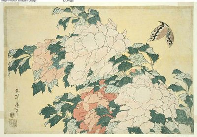 牡丹と蝶、無題の大輪シリーズより 作： Katsushika Hokusai