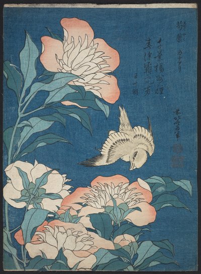 小さな花として知られている無題のシリーズからの牡丹とカナリア（尺八、かなあり） 作： Katsushika Hokusai