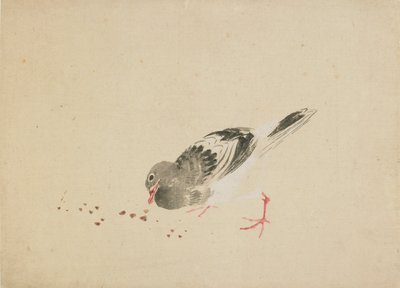 ピジョン、18 世紀後半から 19 世紀初頭。 作： Katsushika Hokusai