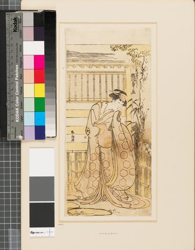 細谷の花魁に扮した瀬川桔之丞。 作： Katsushika Hokusai